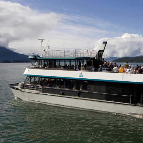 Allen Marine | Marine, bonfire, safari, wilderness, salmon, seafood